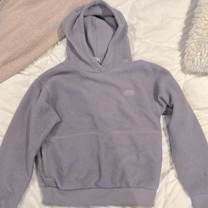 Purple The North Face Sherpa Hoodie